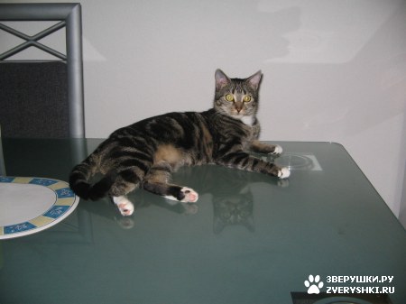 ���������� ����� ��� ������ :)