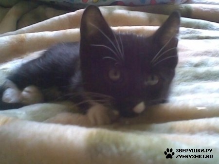 ����� ���� :)