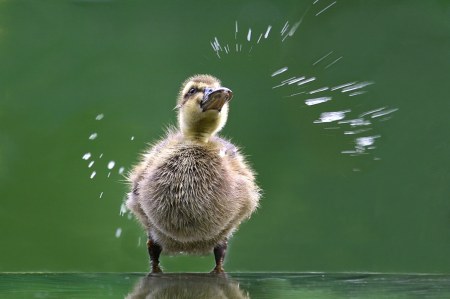 ���������� ��� ���! :)