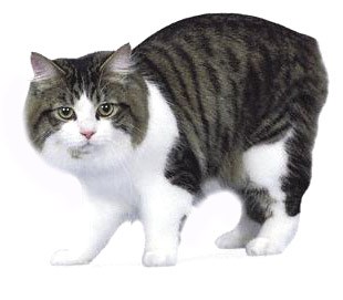 ������: ������