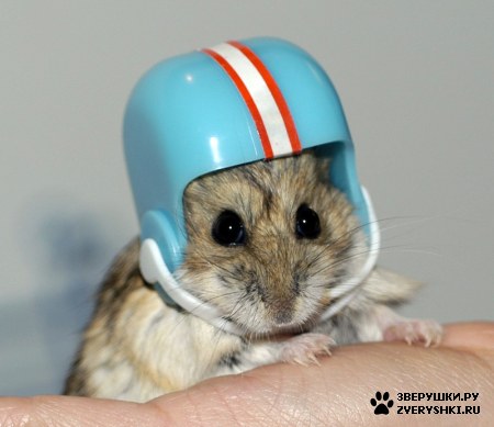 � ������� ����� ���! :)