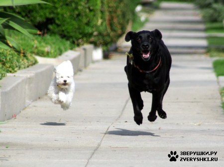 ��������� :)