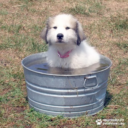 ��� ��� ����� � ������ ������? :)