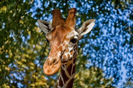 ���������� ��� ���! :)