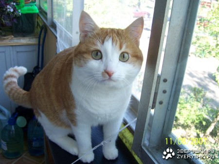 ������� :)