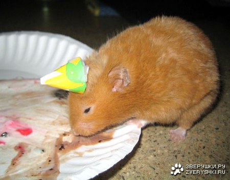 ��� ����, ��� ���� �������� ������ ��� � ���� ;)