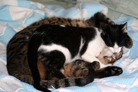 ������� �������� :)