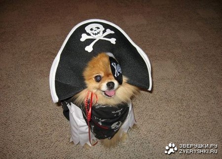 ������� ;)