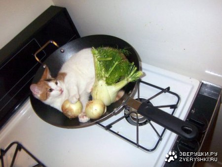 ������� ���� :)