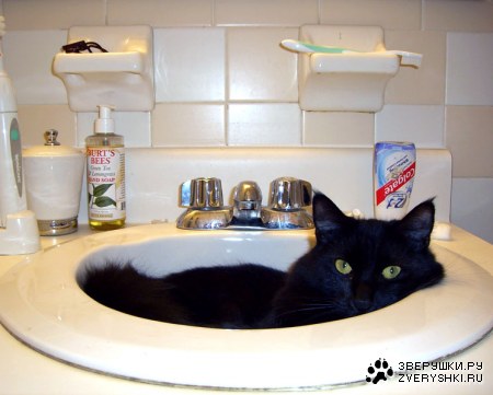 ������� :)