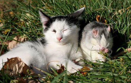 ��������� ������! :)