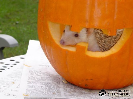 �������� ��� ��������! :)