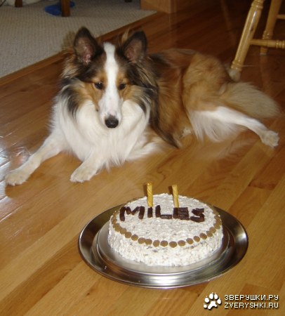 ���� ��������! :)