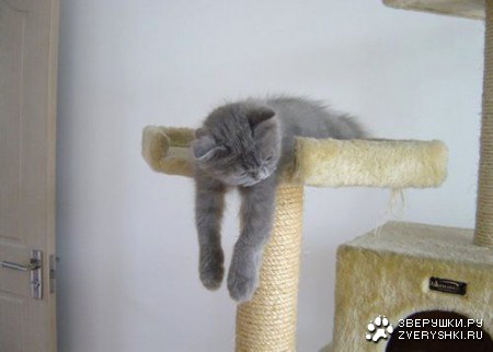 ����� ������... :)