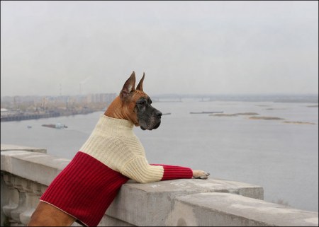 ������ ����! :)