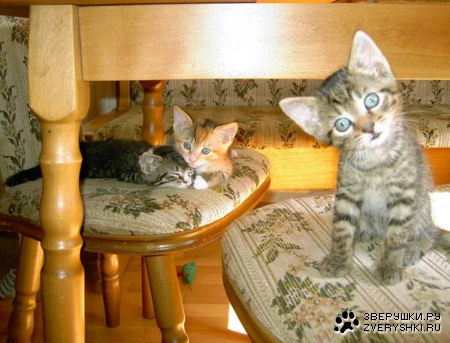 ���������� ����� :)