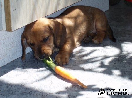 �� ����� ��������� ����� :)