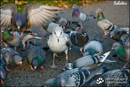 ���������... ;)