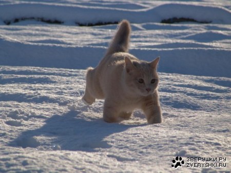 ���� ��� �� �������... ;)