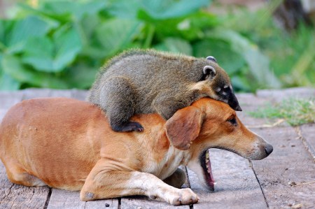 �������� ������� :)