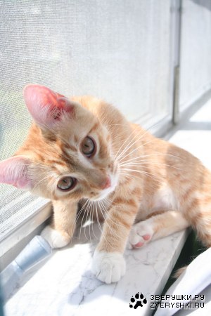 ������... ;)