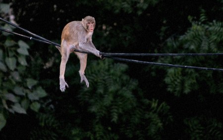 �������� � ������ :)