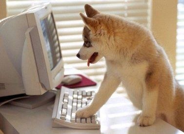 � ��� ������ ���� ���������, ����� �������� ���� ����? (9 ����)