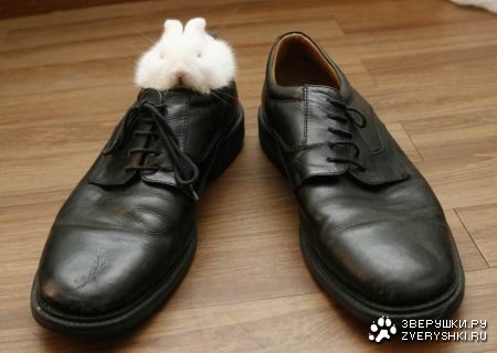 ������ �� ��, �� ���������! :) (14 ����)