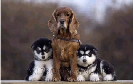 ��� ��� ��� �� ������ :) (5 ����)