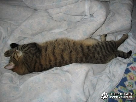 ������������: ���� ���� �� ����� ����� :) (19 ����)