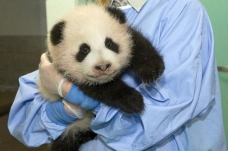 ������ ���� ������� �... �������! :) (8 ����)