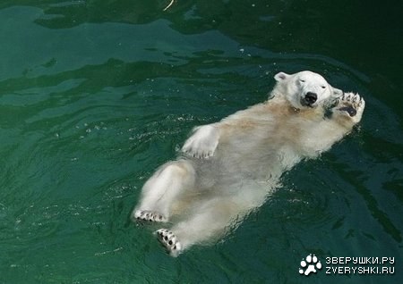 ������ ��������� :)