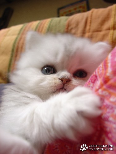 ����������� ��� ��������! :)