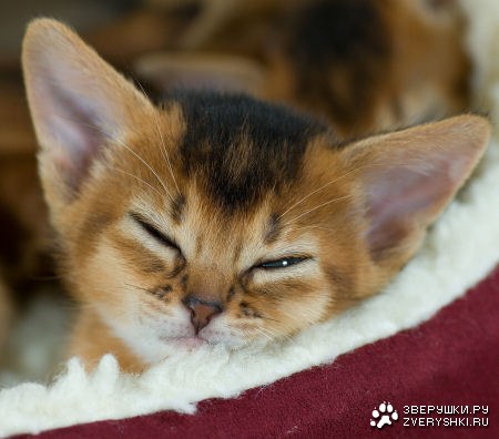 ��������� ��� ��������! :)