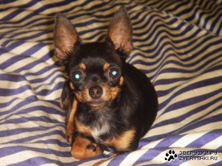 � ������ ��������� �����!