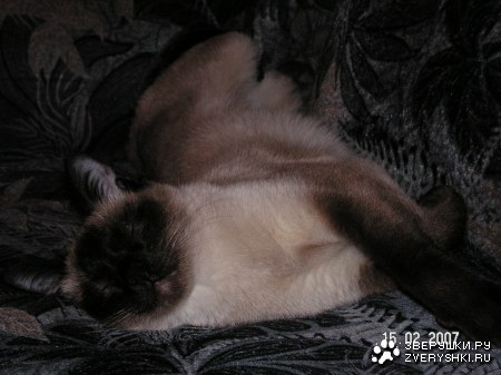 C���c��� ������� :)