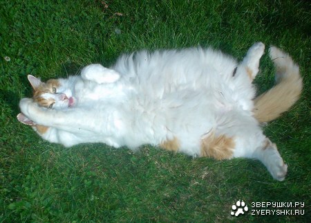 ������� ��� ��������! ;)