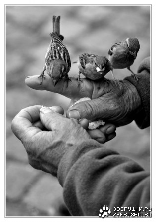 ����� �� ������� �������� �� ������ ��� :)