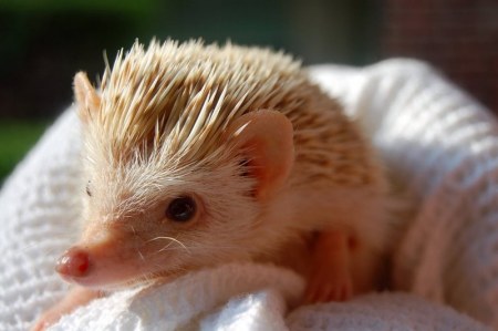 ����������� ��� ���! :)