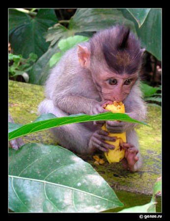 ��� ��������� � �. ���� :)