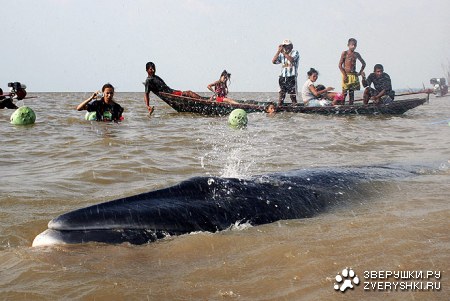 ������������� ��� :)