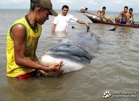 ������������� ��� :)