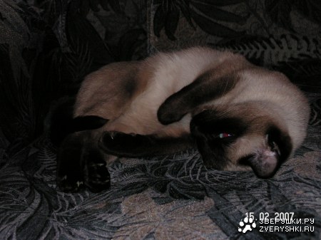 �������� :)