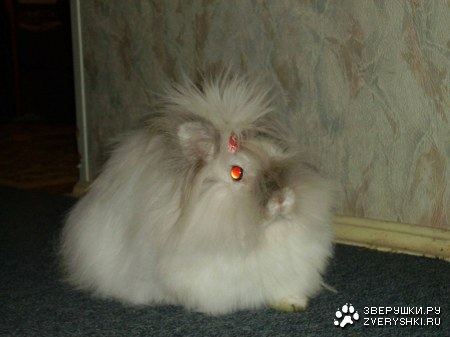 ��������� ������ ���� ����� ������!