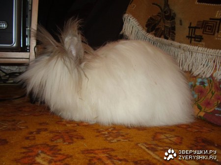 ��������� ������ ���� ����� ������!