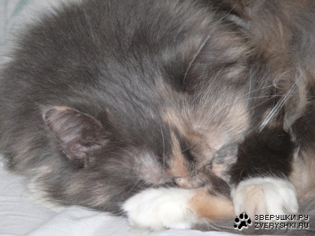 �������� ��� ������� ������! :)