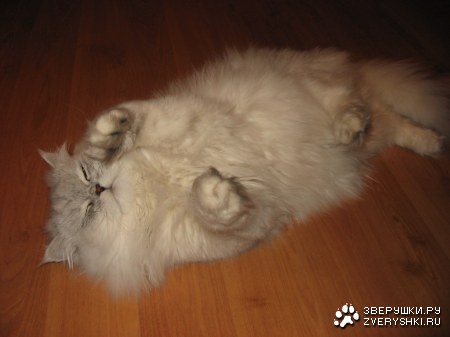 ������ - ������ ������� :)