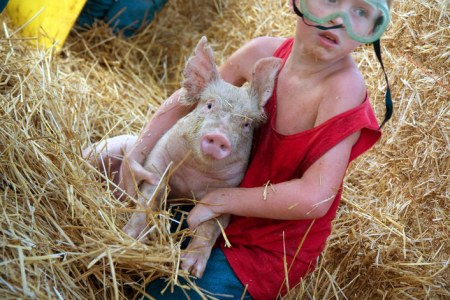 ������ �� ���������� :)