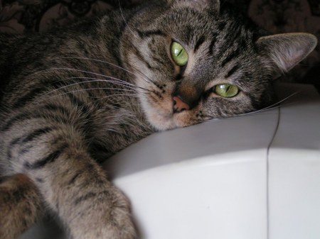 �������� ������ :)