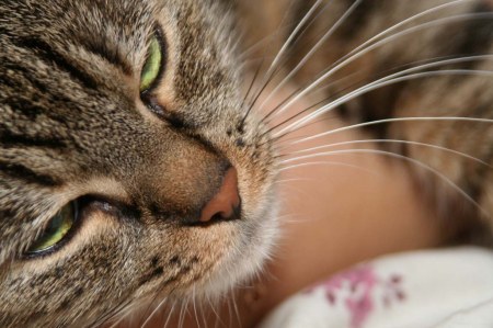 �������� ������ :)